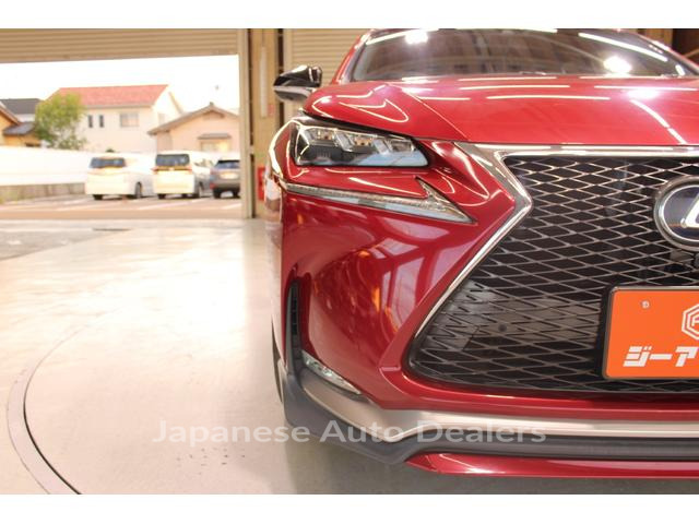 Image 19