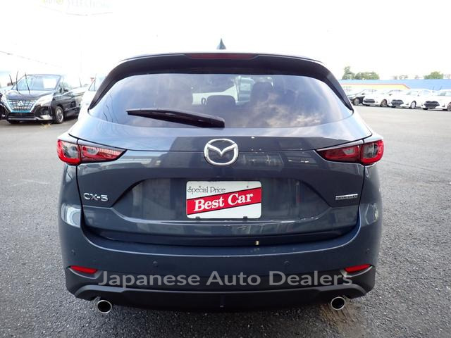 Image 4