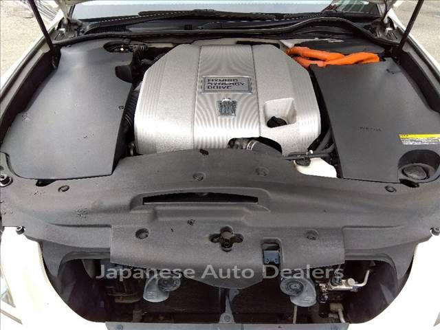 Image 19