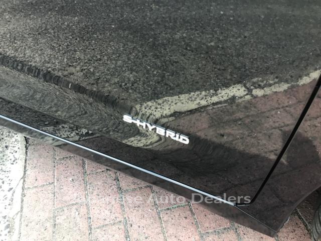 Image 15