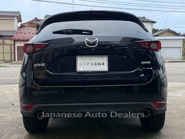 Image 6