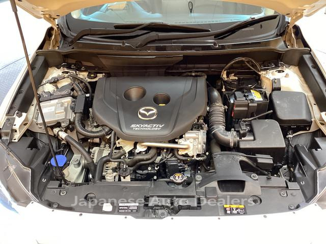 Image 19