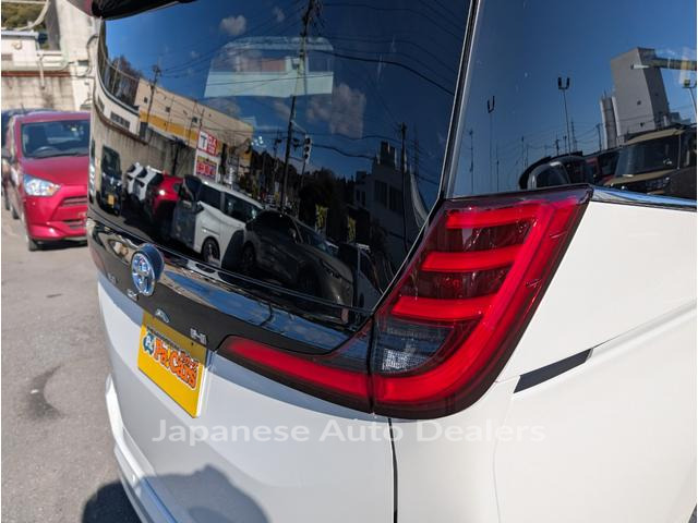 Image 15