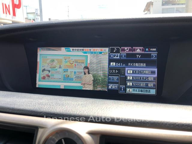 Image 13