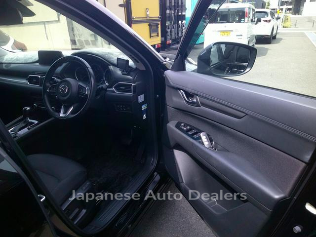 Image 5