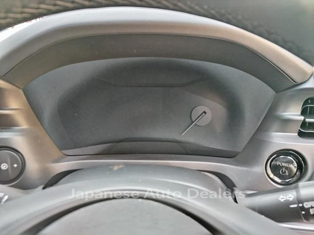 Image 19