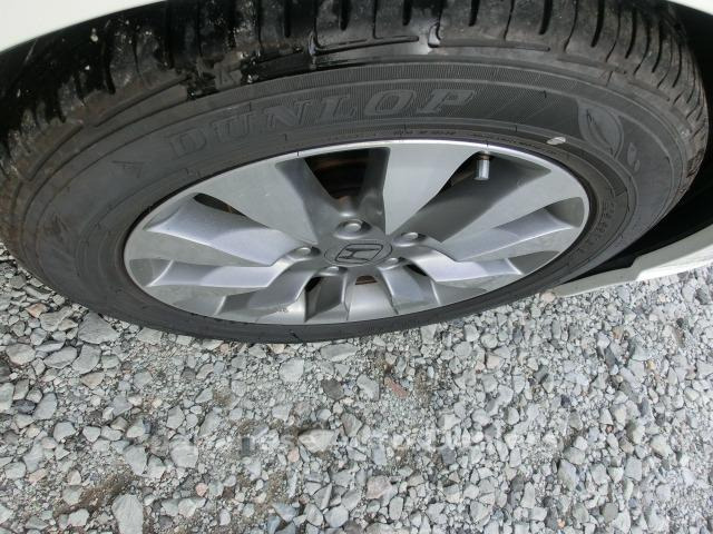 Image 12
