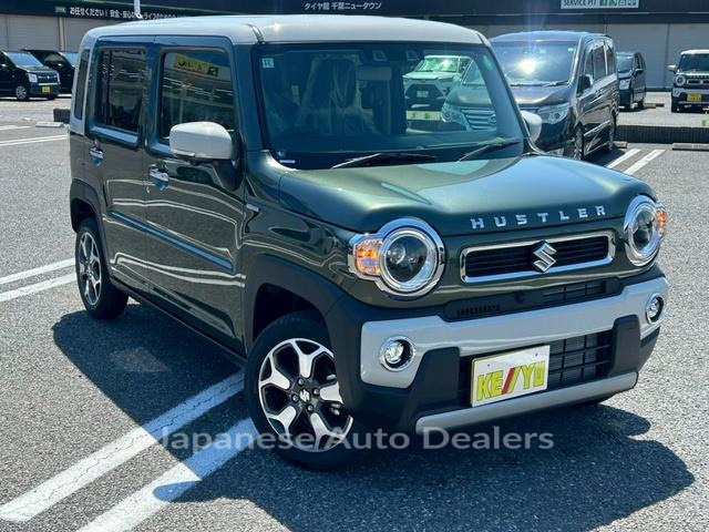 Image 6