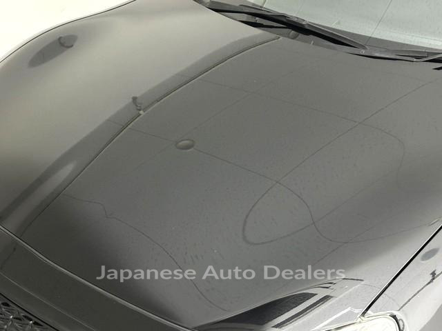 Image 16