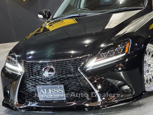 Image 19