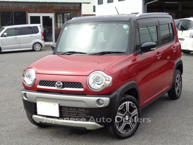 Image 7