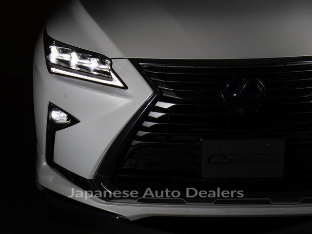Image 20