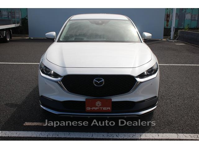 Image 10