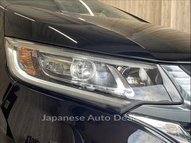 Image 14